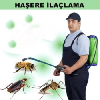 İslahiye Böcek İlaçlama